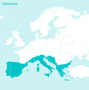 Incidencija je najviša u južnoj Europi, ali Lišmanioza se također počela širiti i na središnju Europu (Francuska) i istočnu Europu.