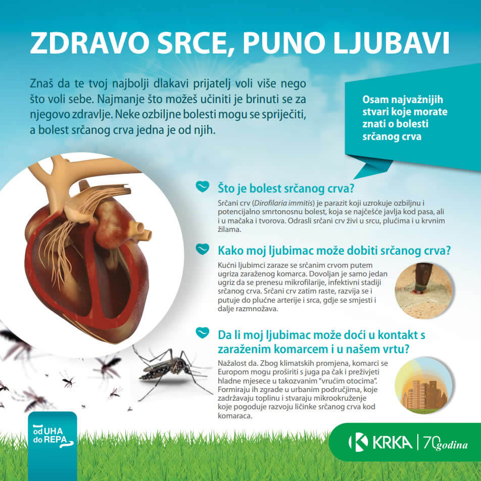 Prevencija srčanog crva